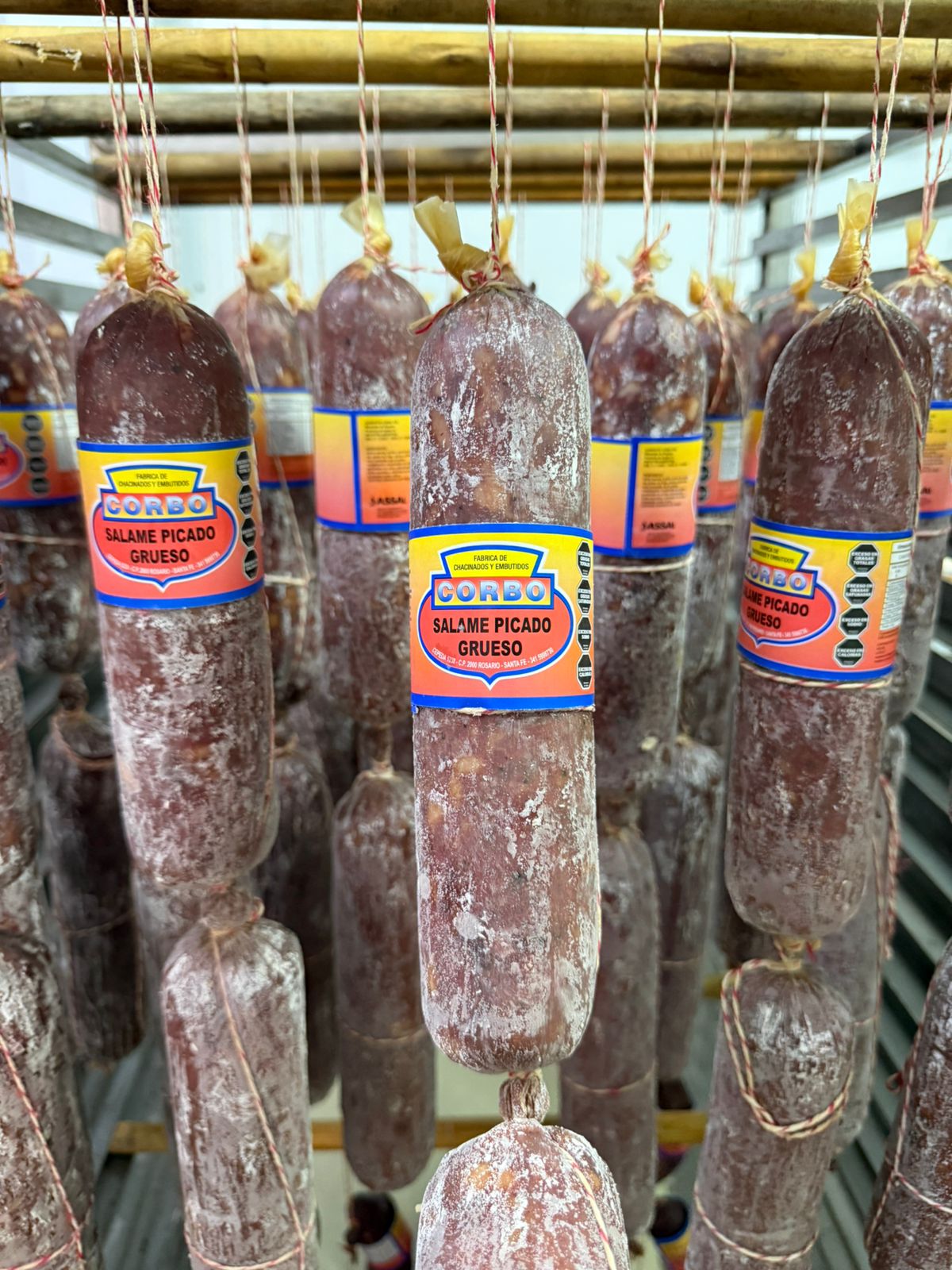 Salames y Salamines